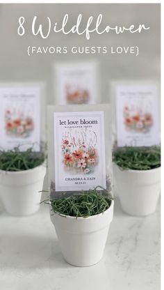 three small white pots with flowers in them and the words, 8 wildflower favors guests love