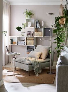 a living room filled with furniture and lots of plants