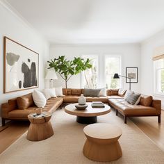 a living room filled with lots of furniture and a potted plant in the corner