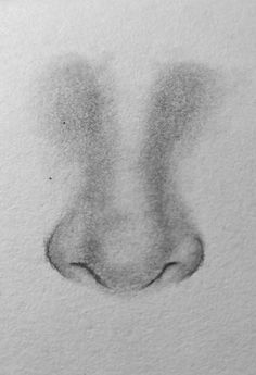 a black and white drawing of a nose