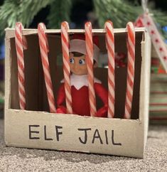 an elf in a box with candy canes