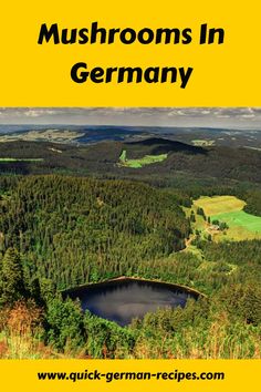 Scenic view of a lush forest with a heart-shaped lake, labeled "Mushrooms in Germany". Potato Dumplings, German Kitchen, German Heritage, Cabbage Rolls, Stuffed Mushrooms