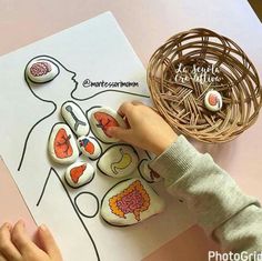 a child's hand touching buttons on top of a piece of paper with an image of the human body