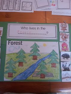 a table with posters and pictures on it that say who lives in the forest?