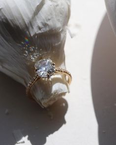 a diamond ring sitting on top of a shell