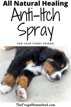 a puppy sleeping on the ground with text overlay that reads, all natural heating anti - itch spray for your furry friend