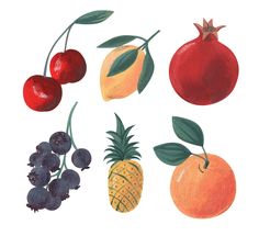 an image of fruits and berries on a white background with watercolor pencil drawing style