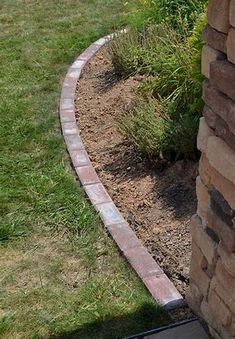 a dog is standing in front of a brick wall and looking at the grass outside