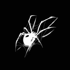 a black and white photo of a spider