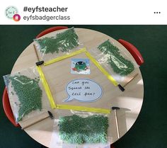 there is a table that has some green plants on it and two bags with stickers attached to them