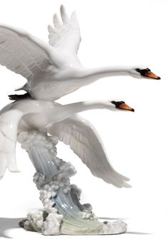 two white birds flying next to each other on top of a cloud covered ground and one bird has it's wings spread out