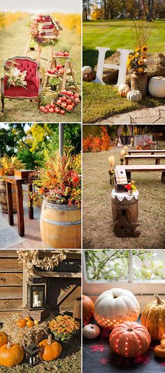 many different pictures of pumpkins and fall decorations