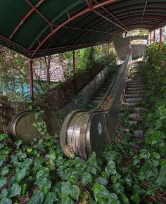 an abandoned set of escalators in the middle of some bushes and plants on either side of them