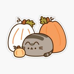 a sticker with an image of two pumpkins and a cat laying on the ground