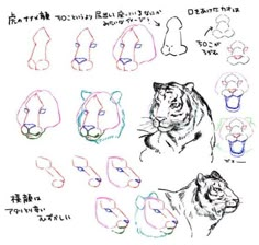 various types of tiger heads drawn in different colors and sizes, including the head of a tiger