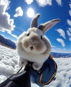 a rabbit is sitting on top of a handbag in the snow with mountains and clouds behind it