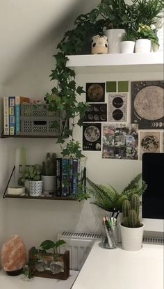 there are many plants and pictures on the wall above the computer desk in this home office