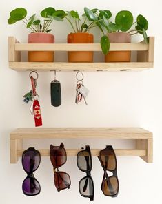 several sunglasses and key chains hanging from wooden shelves with plants in pots on the wall