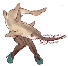 a drawing of a shark with shoes on it's feet and the caption says, long nose saw shark