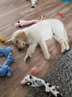 a white dog laying on the floor surrounded by stuffed animals and other toy animal toys