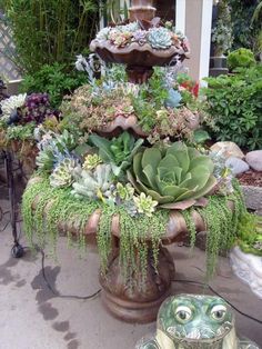 there is a fountain with succulents and plants on it in the garden