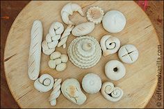 several different types of sea shells on a wooden table