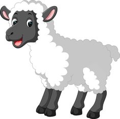 a black and white sheep standing with its tongue out