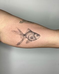 a goldfish tattoo on the right arm and left arm with an arrow in it