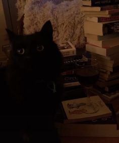 a black cat sitting on top of a pile of books