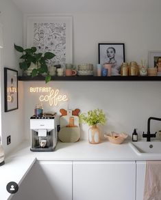 a kitchen counter with coffee maker, potted plant and pictures on the wall above it