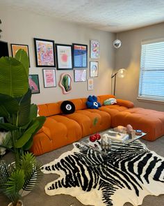 a living room with an orange couch and zebra print rug on the floor, surrounded by various framed pictures