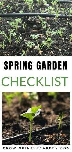 a garden with plants growing in it and the words spring garden checklist written below