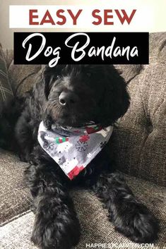 a black dog wearing a bandana sitting on a couch with the title easy sew dog bandana