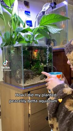 a woman is looking at her cell phone in front of a fish tank with plants