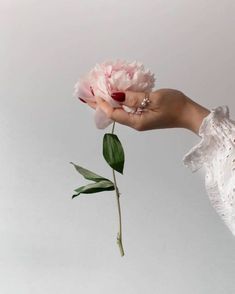 a person holding a pink flower in their hand