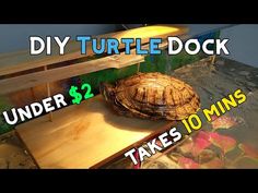 a turtle sitting on top of a wooden table next to a bench with the words diy turtle dock under $ 2 takes 10 mins