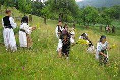 Banat Slavic Girl, Visit Romania, Greek Pantheon, Picking Flowers, Roman Goddess, Girls Braids, John The Baptist, Married Woman, Summer Solstice