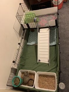 a cat sitting on top of a green mat next to two white bowls filled with food