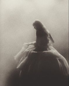 a black and white photo of a bird in the fog