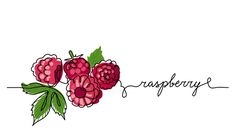 some raspberrys with leaves and the word's name written in cursive writing