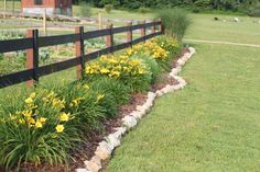 the flowers are blooming along the fence line