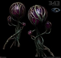 Alien Fruit, Fantasy Fruit, Alien Skull, Weird Plants, Halo 4