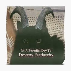 a black cat with horns on it's head sitting on a pillow that says, it's a beautiful day to destroy patrick