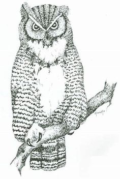 an owl sitting on top of a tree branch