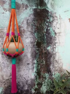 an orange and pink macrame hanging from a hook on a wall next to a succulent plant