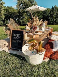 an outdoor picnic with food and drinks on the grass