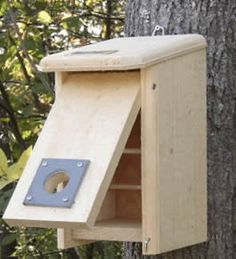 Winter Roost-Convertible Bluebird House, Eastern White Pine, Bird House Plans, Diy Bird Feeder, Bird Baths, Nesting Box, Bird Houses Diy, Diy Birds, Bird Boxes