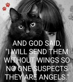 a woman with long hair holding a black cat in her arms and saying, and god said, i will send them without wings so no one suspects they are angels