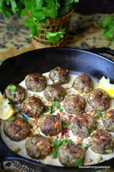 a pan filled with meatballs and sauce on top of a table next to a potted plant