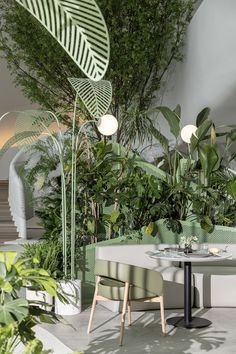 an indoor cafe with green plants and white walls, two round tables on either side